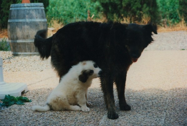 med_Mach kein Scheiss.jpg (599 x 404)